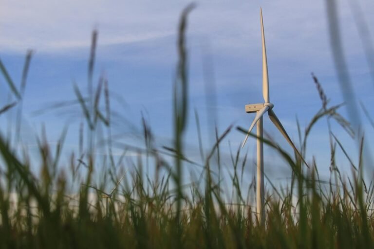 digital solution for growth